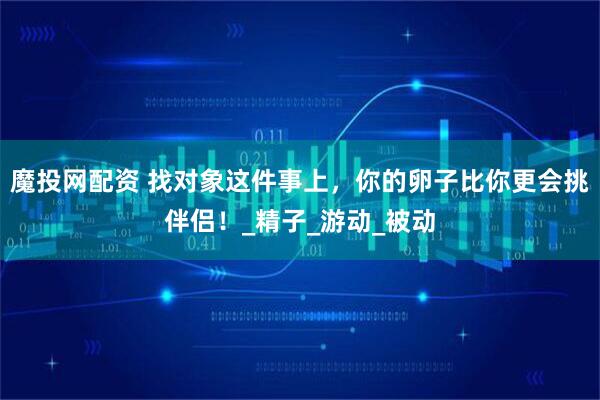 魔投网配资 找对象这件事上，你的卵子比你更会挑伴侣！_精子_游动_被动