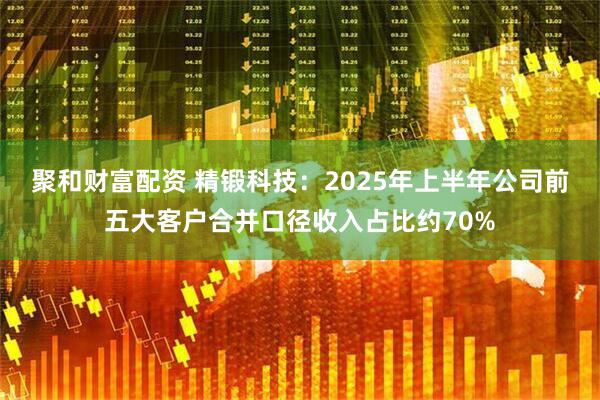 聚和财富配资 精锻科技：2025年上半年公司前五大客户合并口径收入占比约70%